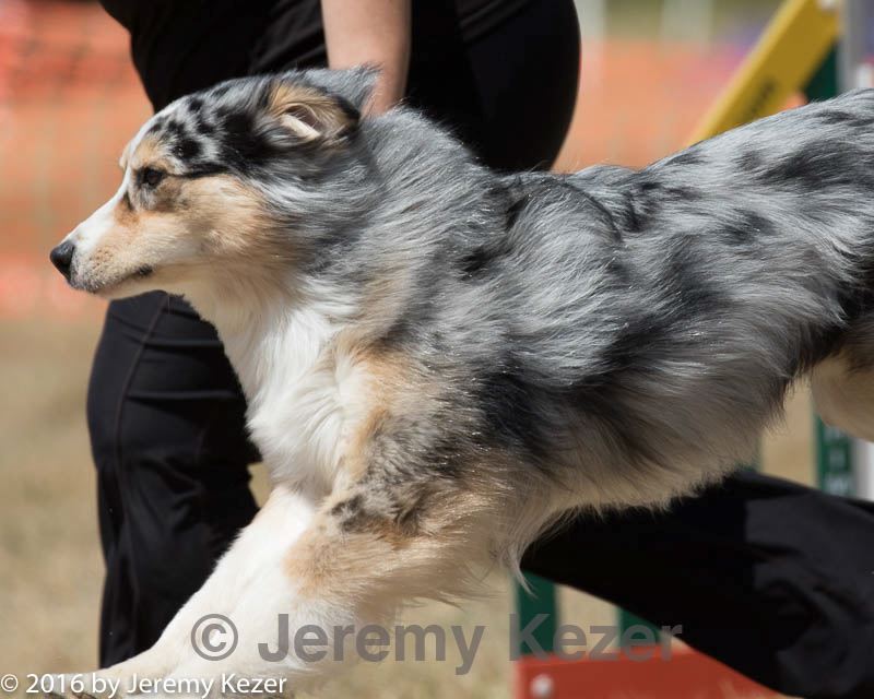 20160618-cckc-0779.jpg