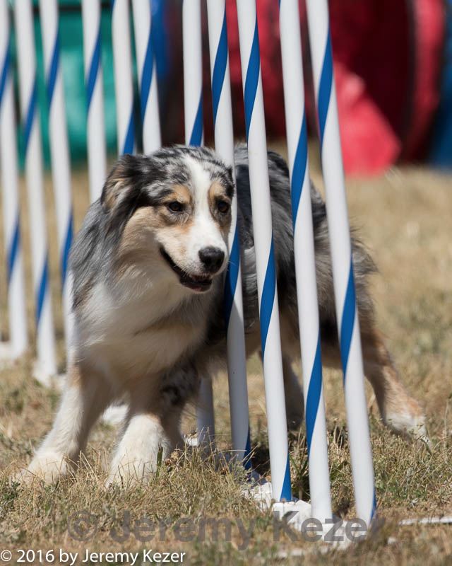 20160618-cckc-0787.jpg