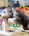 20160618-cckc-0693