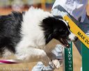 20160618-cckc-0695