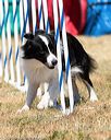 20160618-cckc-0706