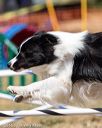20160618-cckc-0708