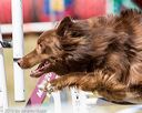 20160618-cckc-0726