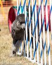20160618-cckc-0730