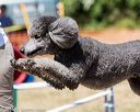 20160618-cckc-0744