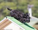 20160618-cckc-2237