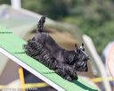 20160618-cckc-2238