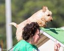 20160618-cckc-2217