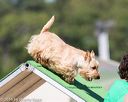 20160618-cckc-2218