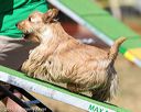 20160618-cckc-2223