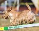 20160618-cckc-2224