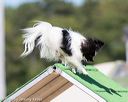 20160618-cckc-2225