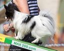 20160618-cckc-2232