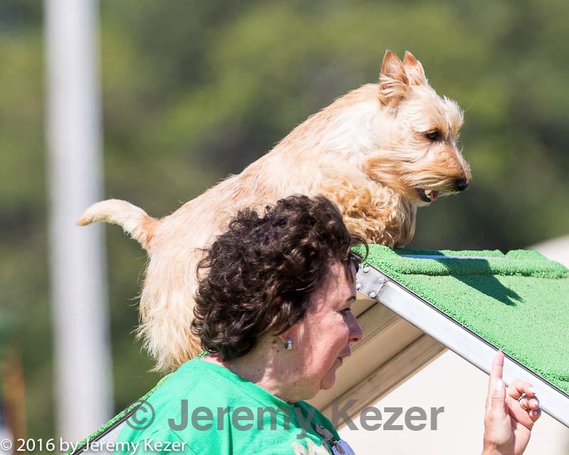 20160618-cckc-2217.jpg