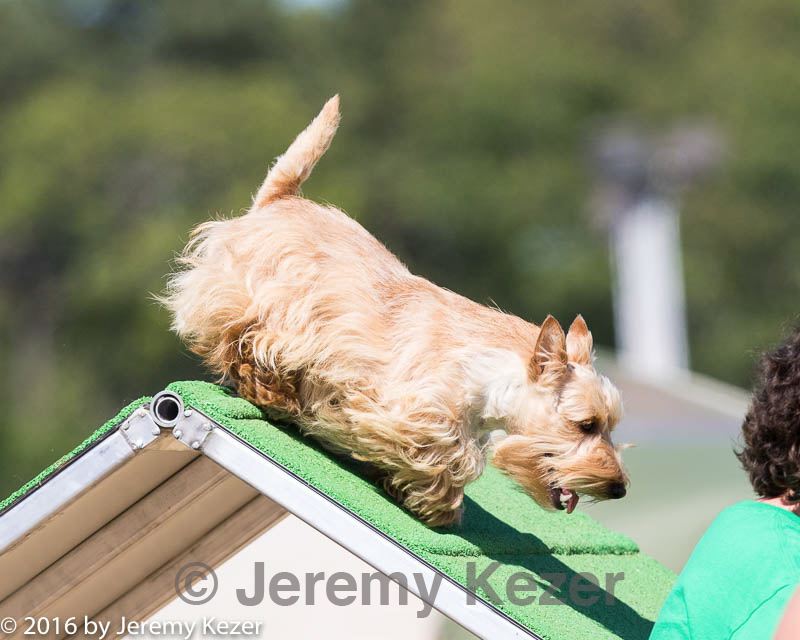 20160618-cckc-2218.jpg