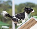 20160618-cckc-2199