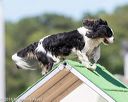20160618-cckc-2201