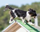 20160618-cckc-2202