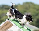 20160618-cckc-2203