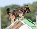 20160618-cckc-2207