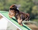 20160618-cckc-2211