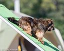 20160618-cckc-2213