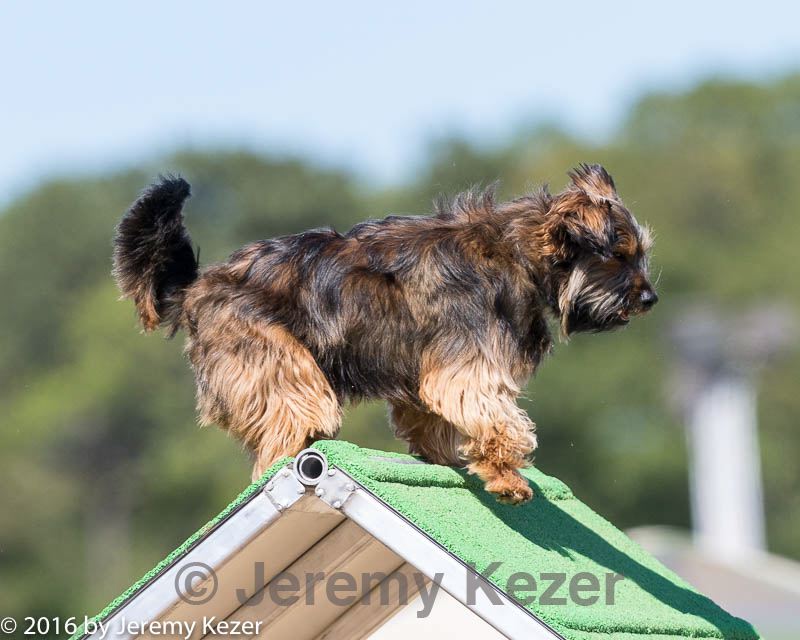 20160618-cckc-2208.jpg