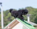 20160618-cckc-2187