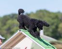 20160618-cckc-2188