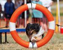 20160618-cckc-2193