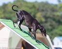 20160618-cckc-2169
