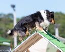 20160618-cckc-2172