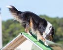 20160618-cckc-2173