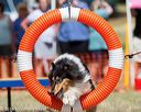 20160618-cckc-2174