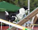 20160618-cckc-2177