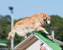 20160618-cckc-2153
