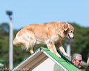 20160618-cckc-2154