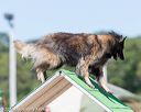 20160618-cckc-2166