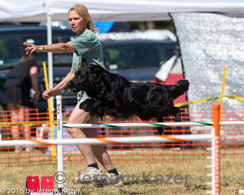 20160618-cckc-2157.jpg