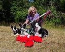 20160619-cckc-1717