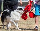 20160619-cckc-1512