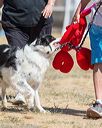 20160619-cckc-1516