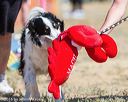 20160619-cckc-1519