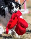 20160619-cckc-1523