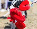 20160619-cckc-1524