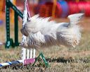 20160619-cckc-0317
