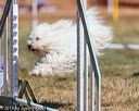 20160619-cckc-0319