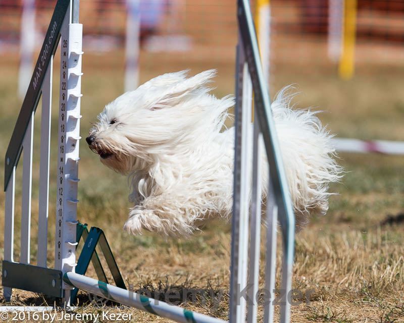 20160619-cckc-0322.jpg