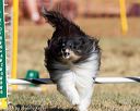 20160619-cckc-0348