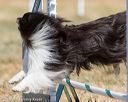 20160619-cckc-0355